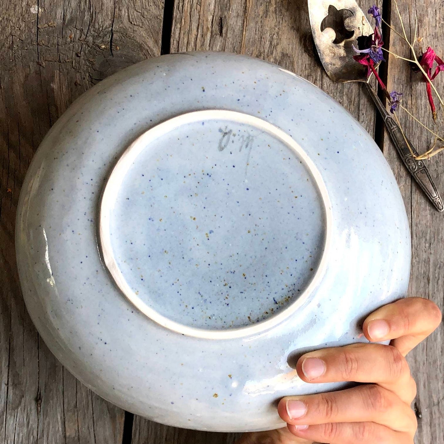 Порційна миска з протеєю